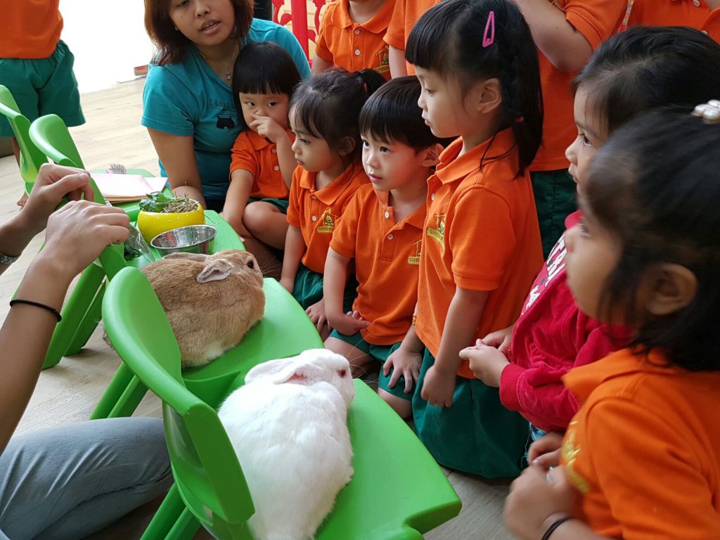 Little Petals Preschool Preschool Singapore